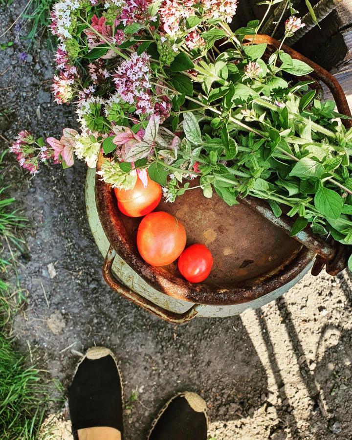 Babie Lato B&B Uniejow Εξωτερικό φωτογραφία