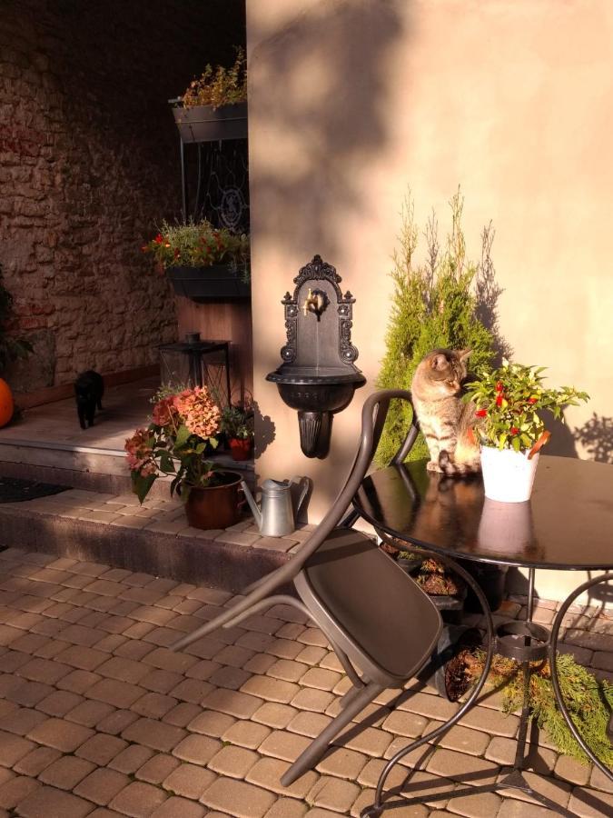 Babie Lato B&B Uniejow Εξωτερικό φωτογραφία