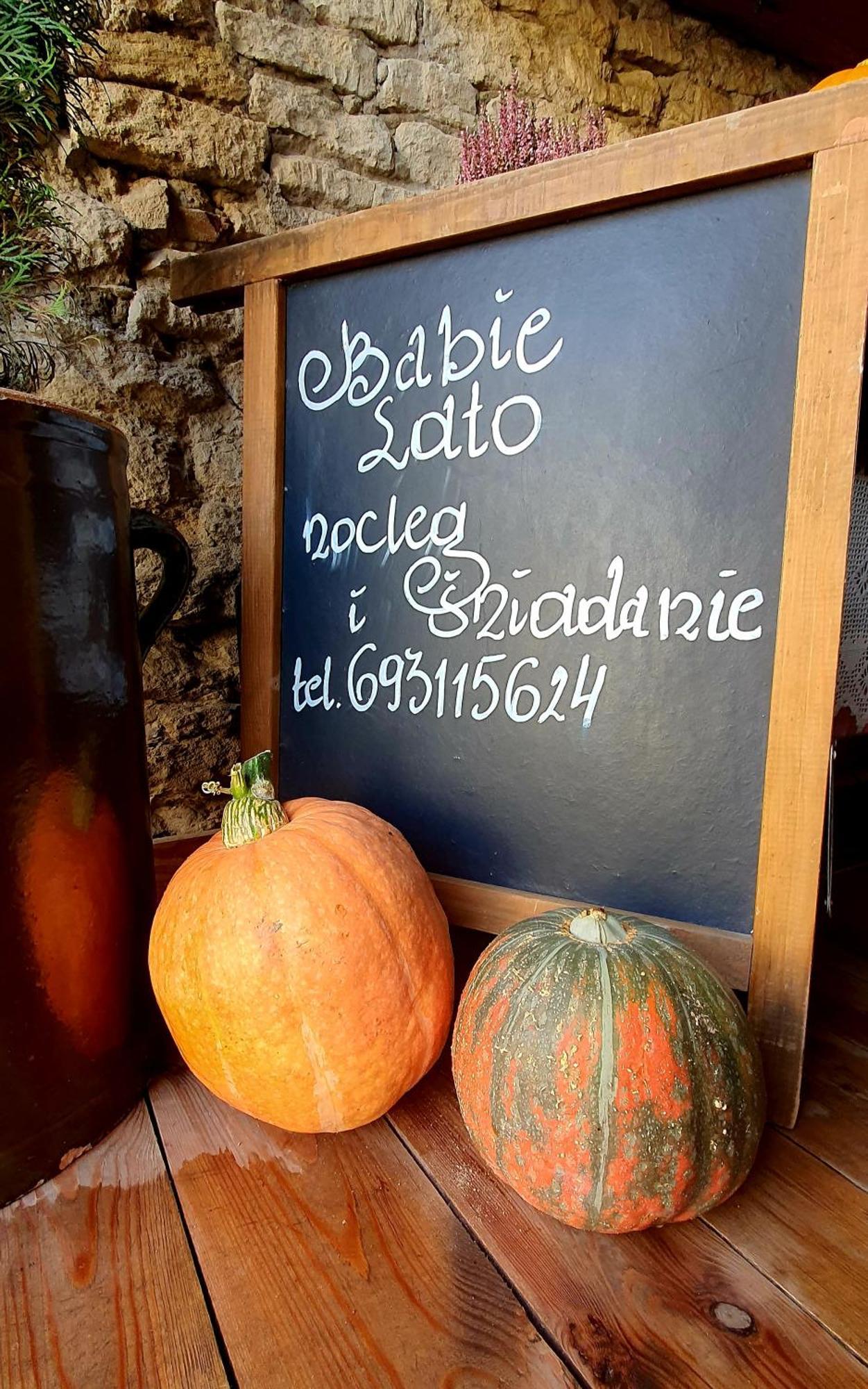 Babie Lato B&B Uniejow Εξωτερικό φωτογραφία